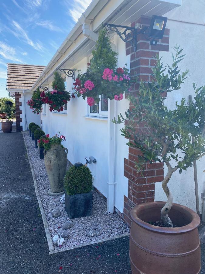 Toppesfield House B&B Bude Buitenkant foto
