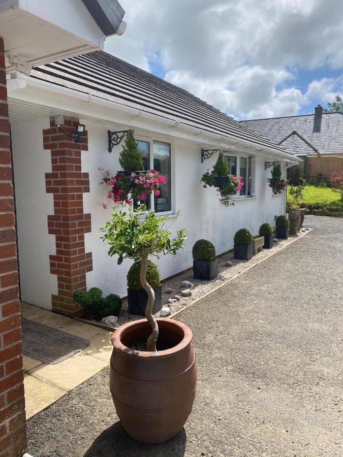 Toppesfield House B&B Bude Buitenkant foto