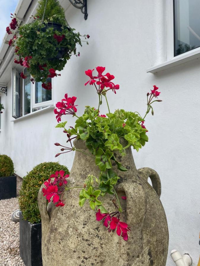 Toppesfield House B&B Bude Buitenkant foto