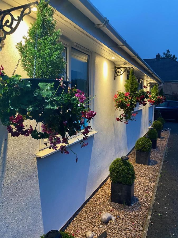 Toppesfield House B&B Bude Buitenkant foto