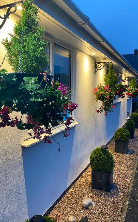 Toppesfield House B&B Bude Buitenkant foto