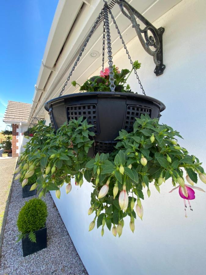 Toppesfield House B&B Bude Buitenkant foto