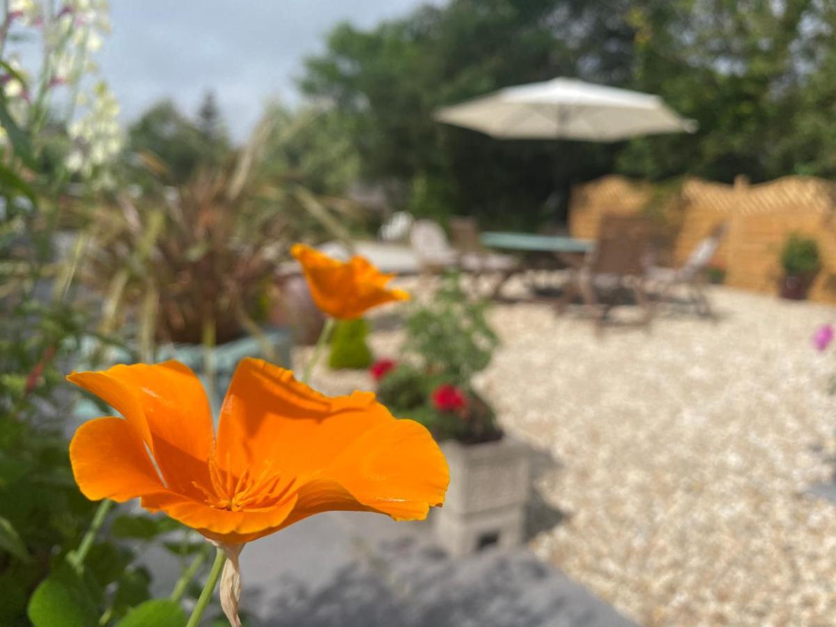 Toppesfield House B&B Bude Buitenkant foto