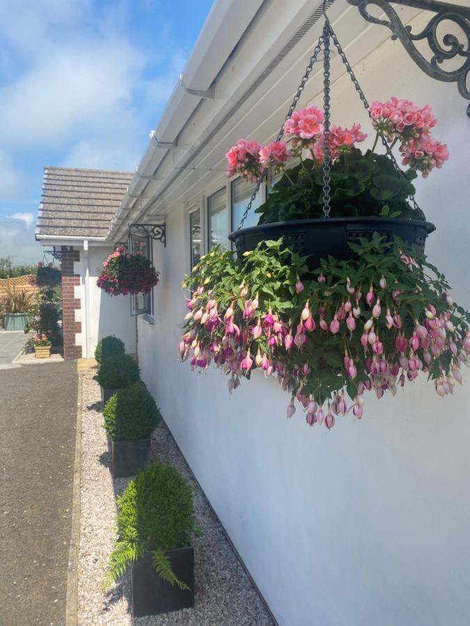 Toppesfield House B&B Bude Buitenkant foto