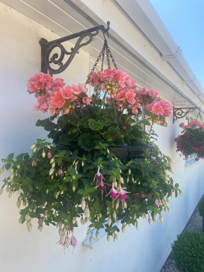 Toppesfield House B&B Bude Buitenkant foto