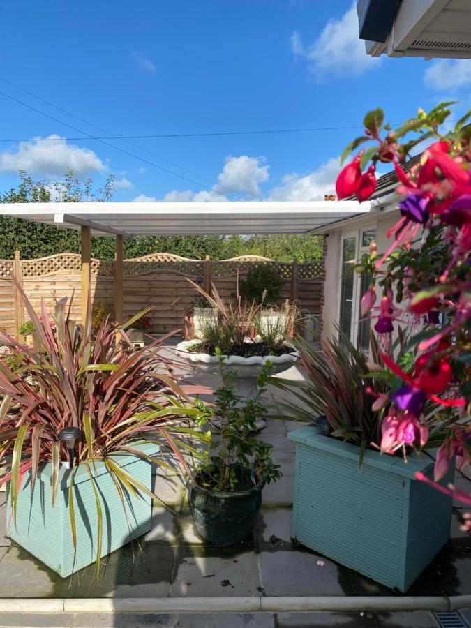 Toppesfield House B&B Bude Buitenkant foto