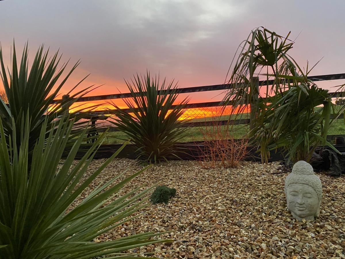 Toppesfield House B&B Bude Buitenkant foto